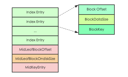 root index