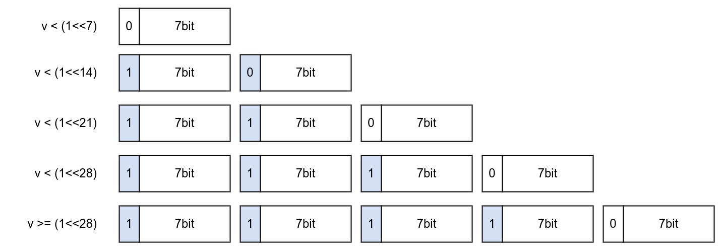 var-int-format